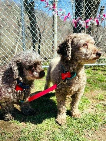 Lucy And Ethel thumbnail 3