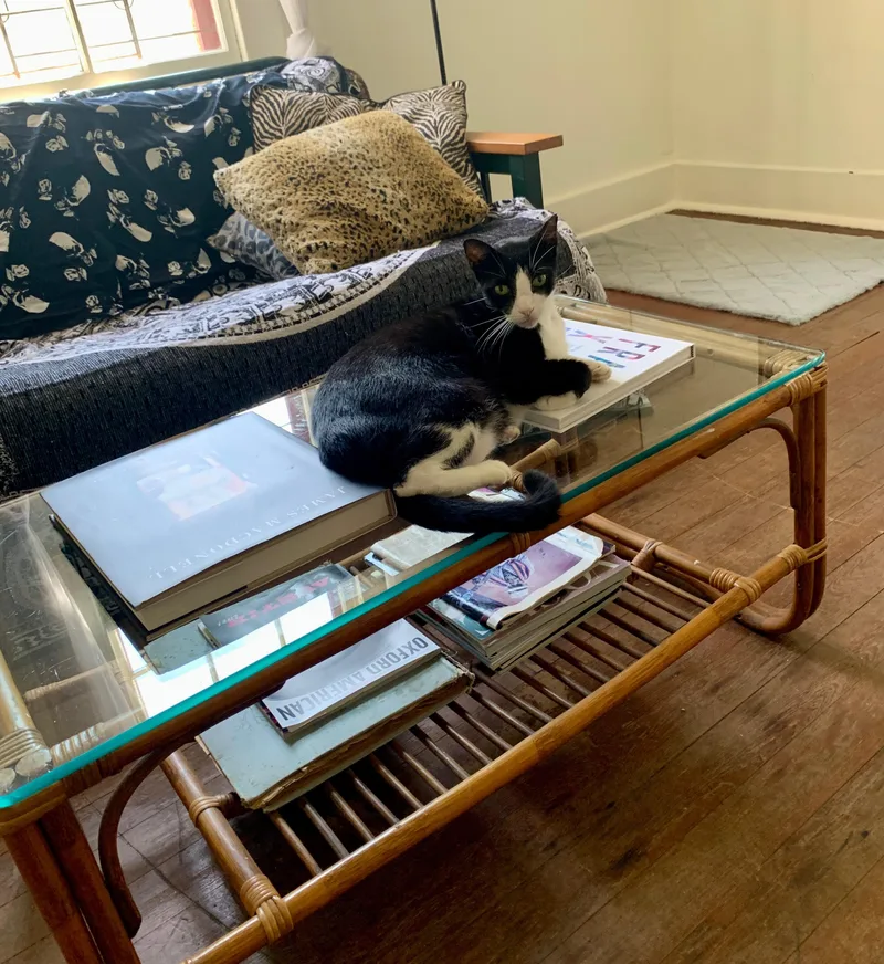 Mook—URGENT thumbnail 2