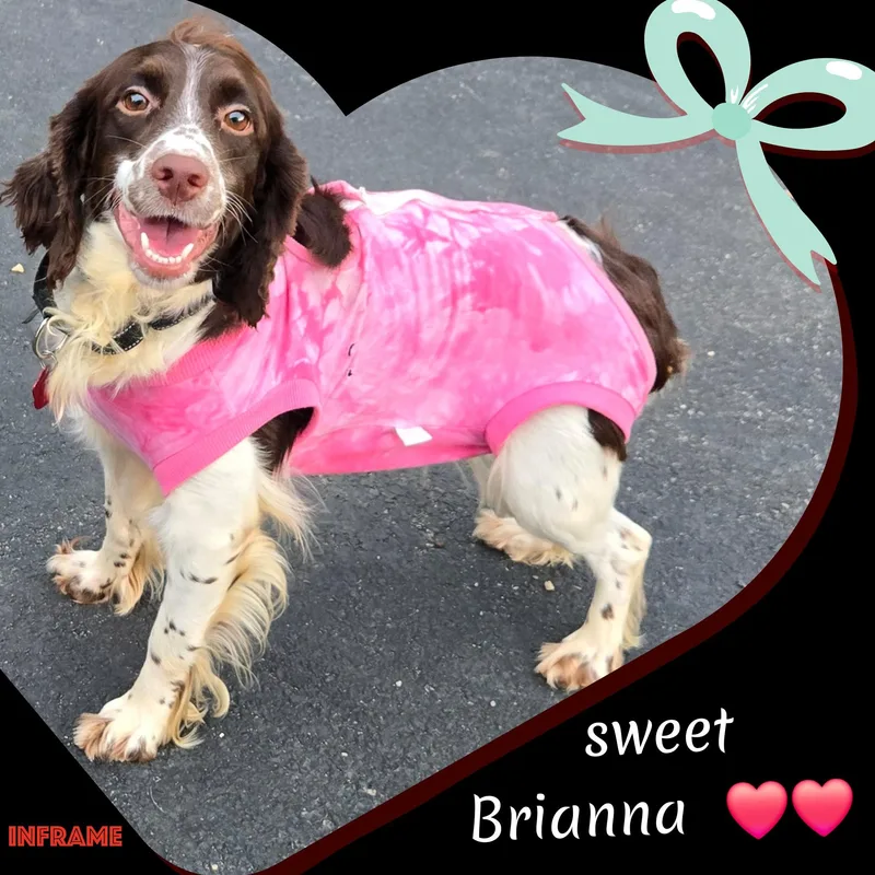 Brianna thumbnail 3