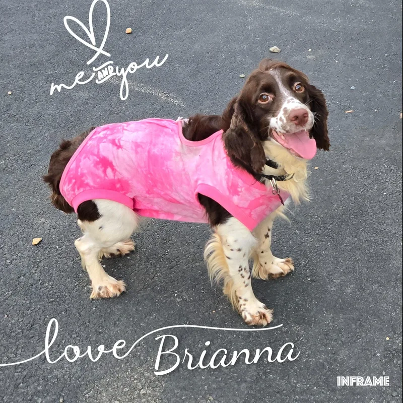 Brianna thumbnail 4