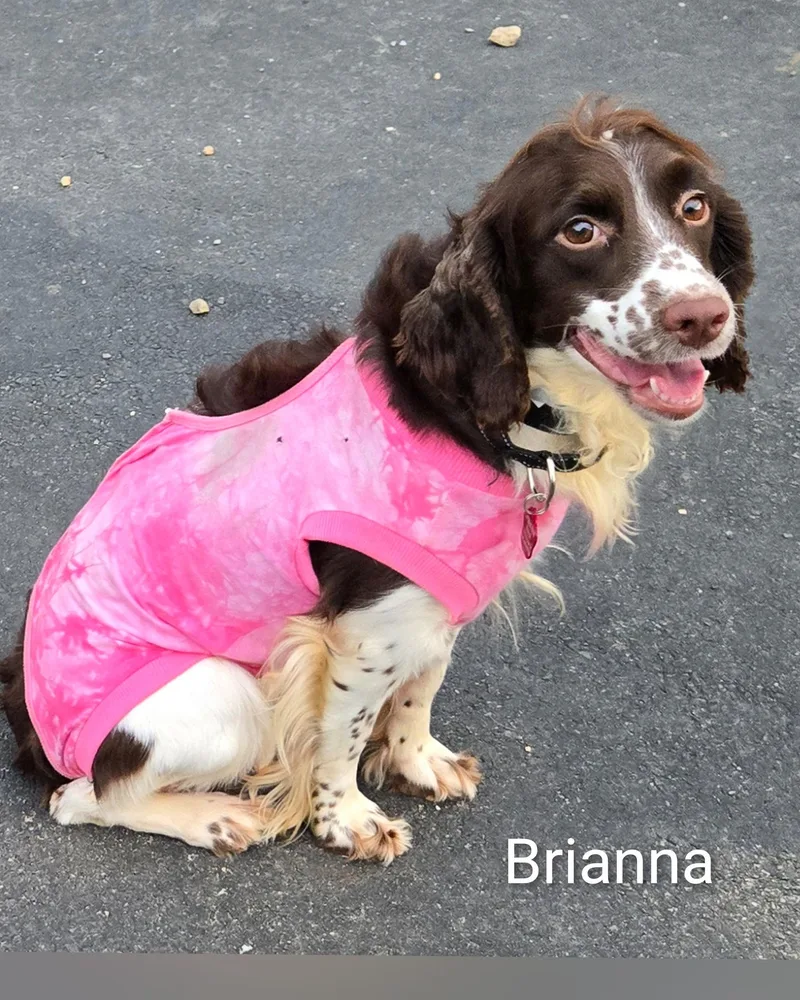Brianna thumbnail 5