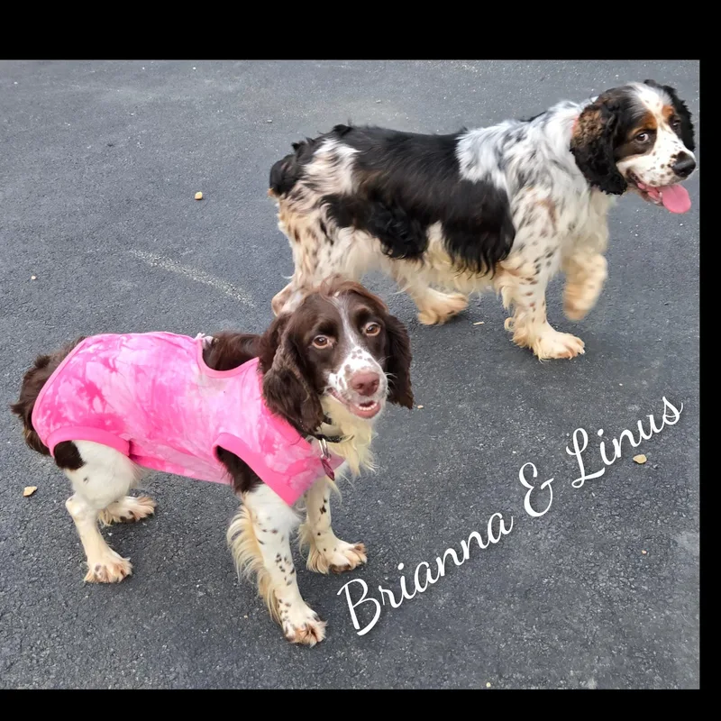 Brianna thumbnail 6