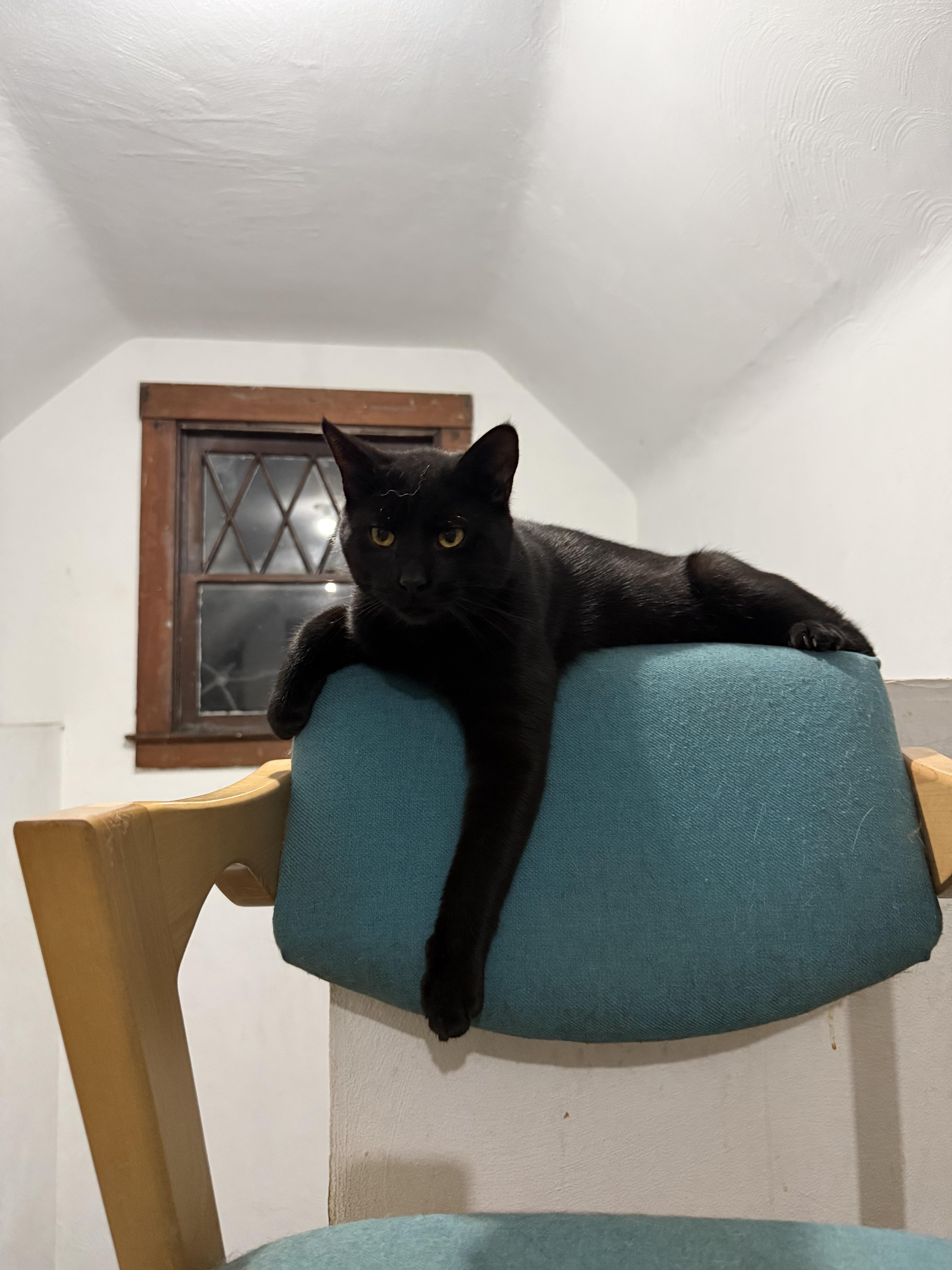 Polly & Esther thumbnail 2