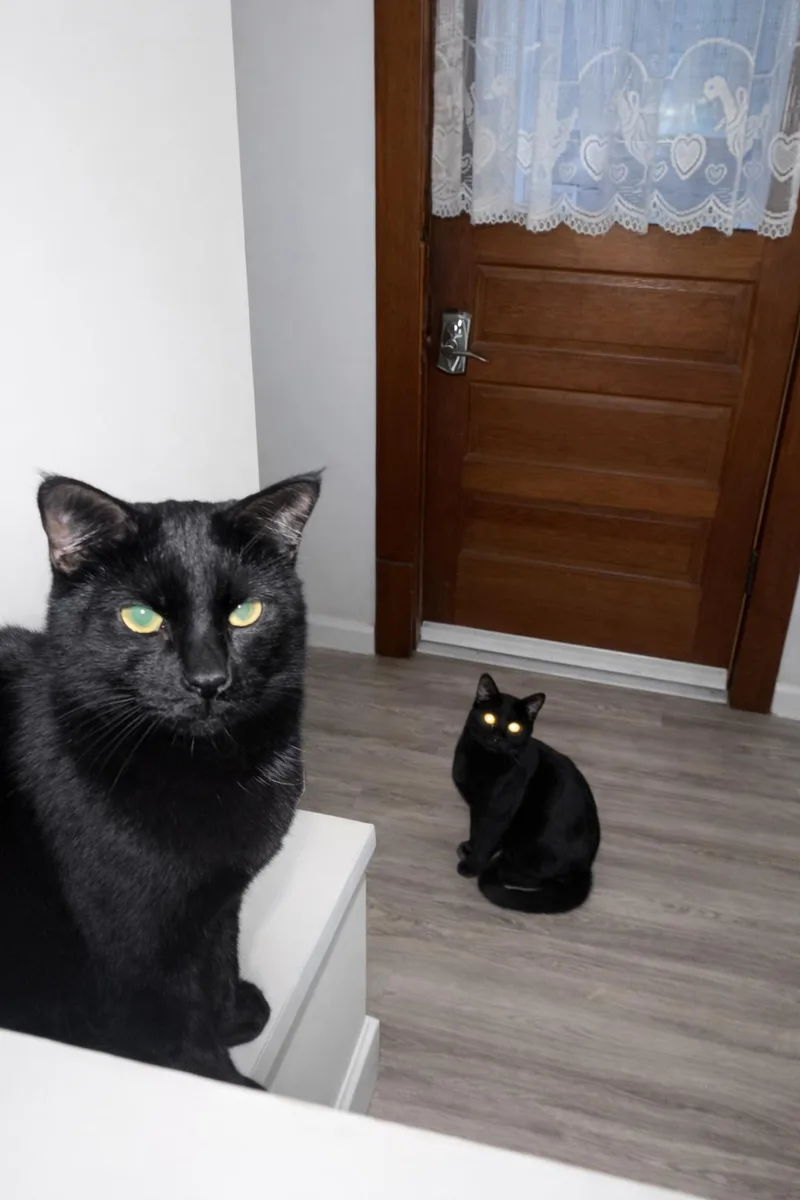 Polly & Esther thumbnail 3