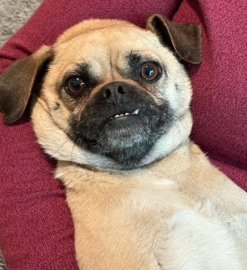 Dennis And Wilson thumbnail 3