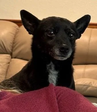 Dennis And Wilson thumbnail 4