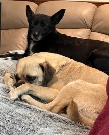 Dennis And Wilson thumbnail 5