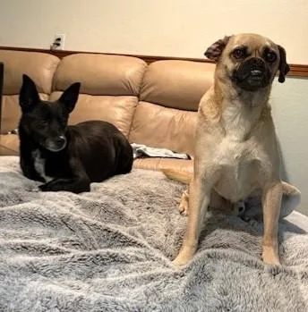 Dennis And Wilson thumbnail 6