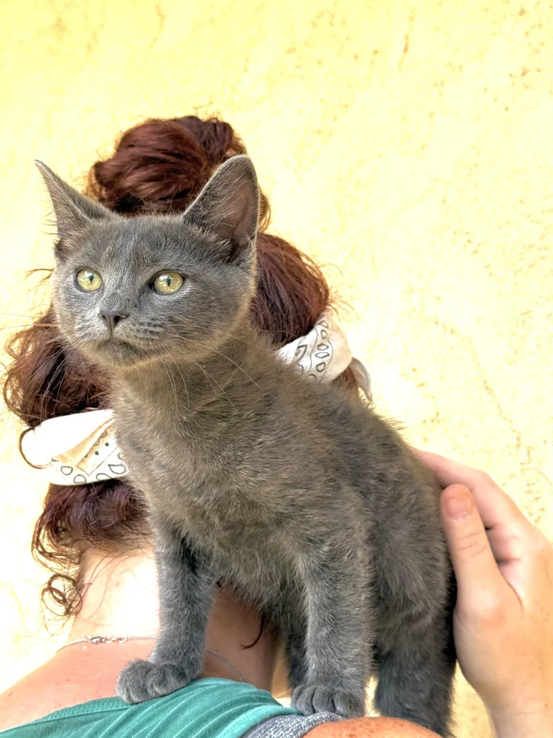 Esmeralda thumbnail 2