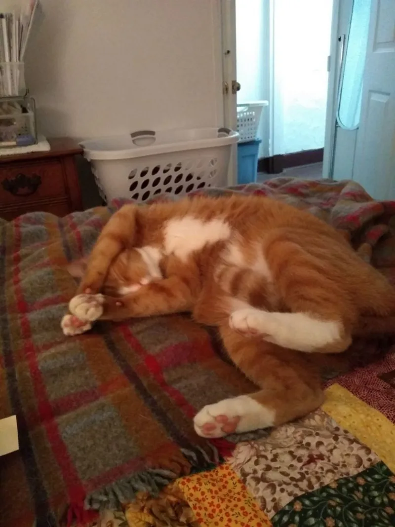 Jute Heart Condition