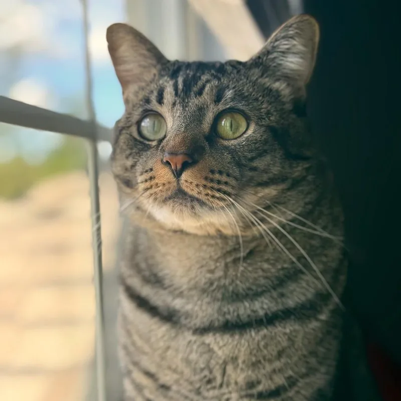 Jazzpurr thumbnail 2
