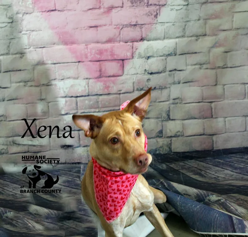 Xena thumbnail 2