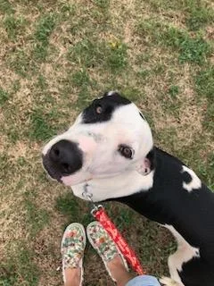 Jackson Dwaynejd thumbnail 2