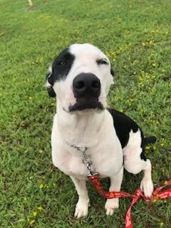 Jackson Dwaynejd thumbnail 3