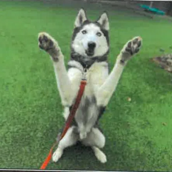 Marbles thumbnail 3