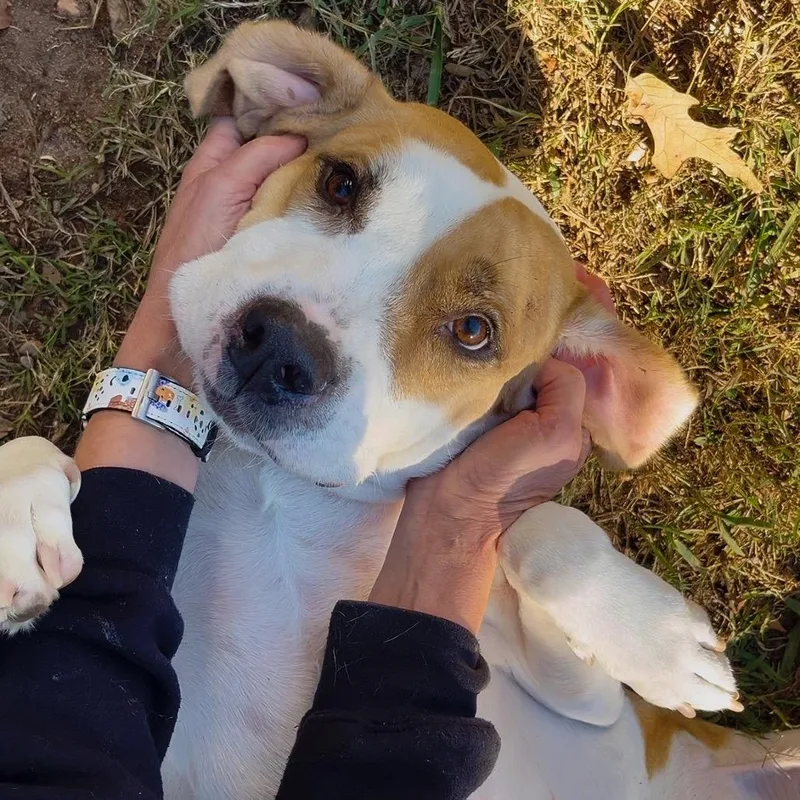 Bruno Mars thumbnail 2