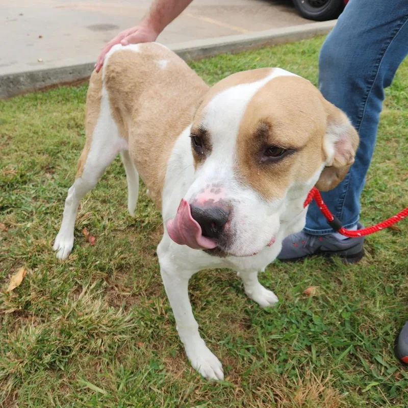 Bruno Mars thumbnail 3