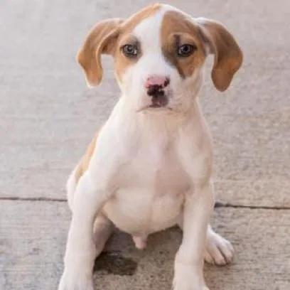 Bruno Mars thumbnail 4