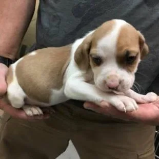 Bruno Mars thumbnail 5