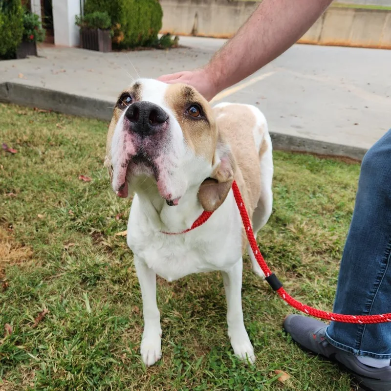 Bruno Mars thumbnail 6