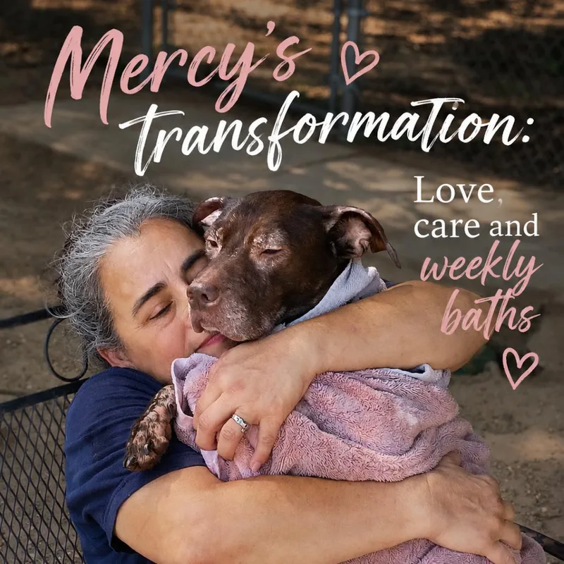 Mercy thumbnail 6
