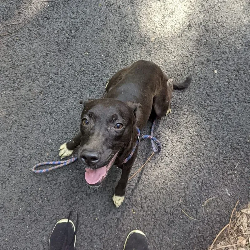 Arrow "my Goal Is thumbnail 3