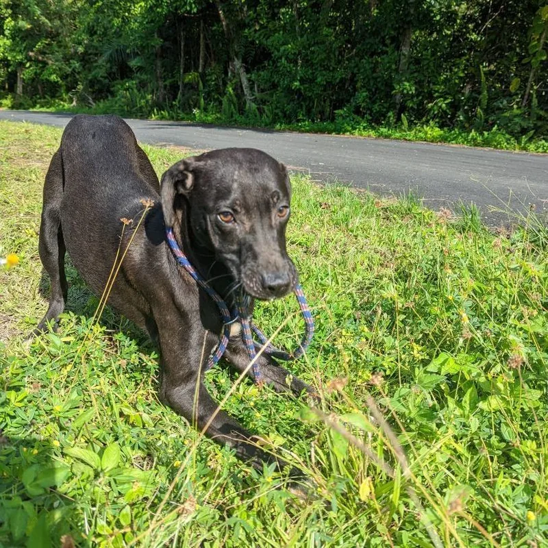 Arrow "my Goal Is thumbnail 4