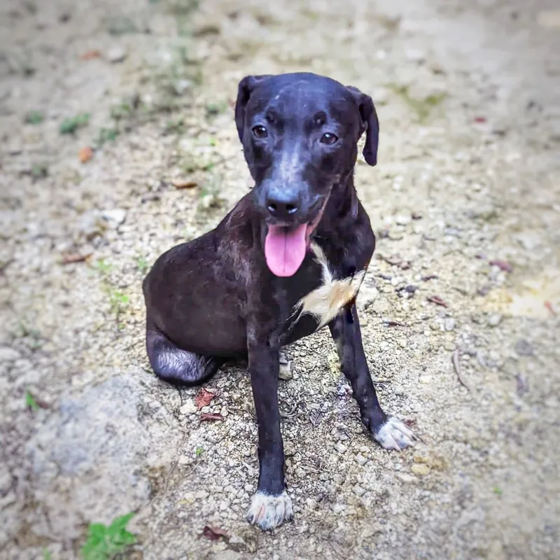 Arrow "my Goal Is thumbnail 5