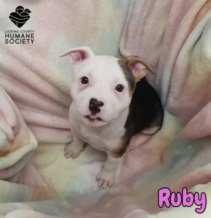 Ruby