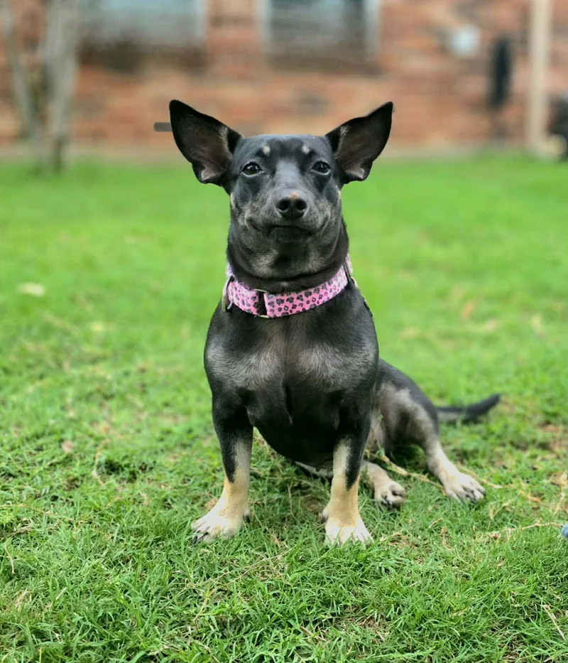 Maggie thumbnail 3