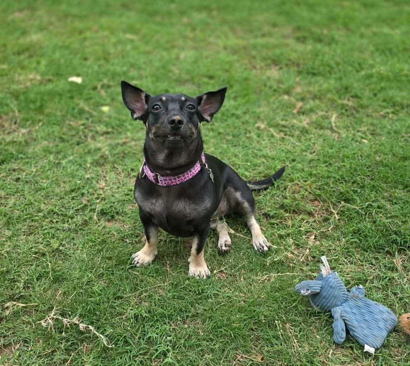 Maggie thumbnail 4