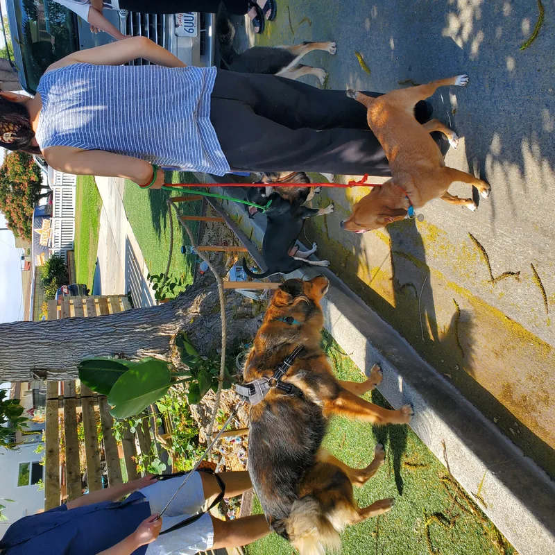 Rocky Needs His Adrian