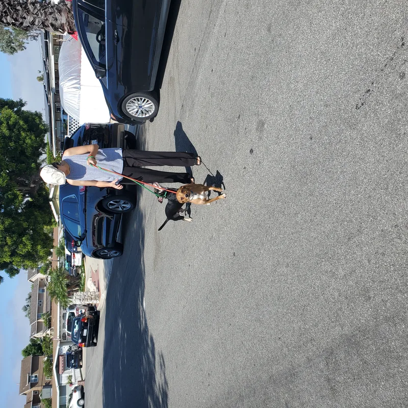 Rocky Needs His Adrian thumbnail 3