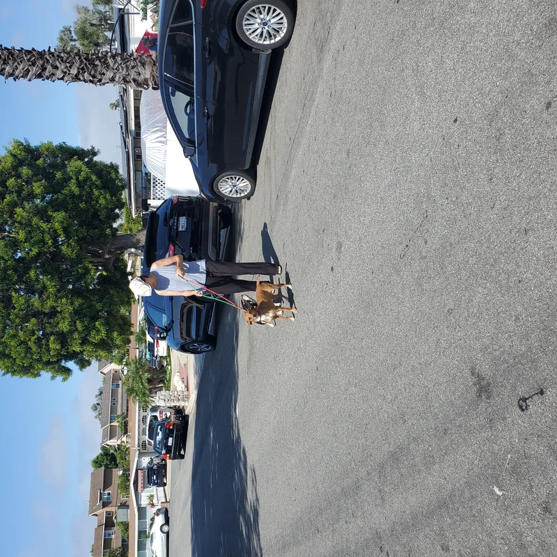 Rocky Needs His Adrian thumbnail 4