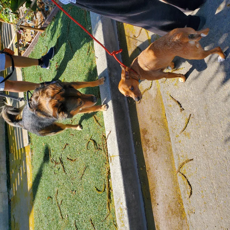 Rocky Needs His Adrian thumbnail 5