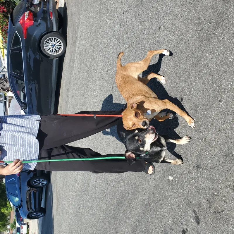 Rocky Needs His Adrian thumbnail 6