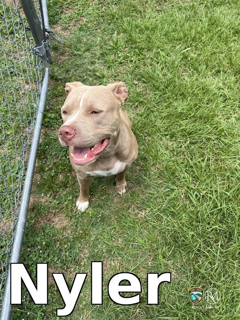 Nyler thumbnail 2