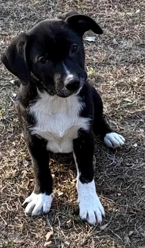 Broadway thumbnail 2