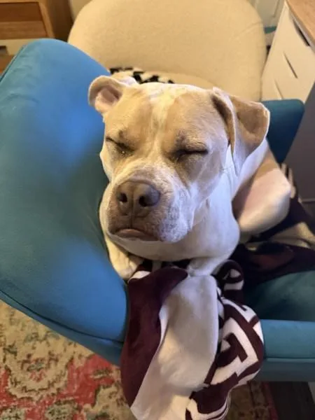 Mama Eden thumbnail 2