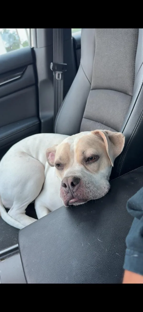 Mama Eden thumbnail 3