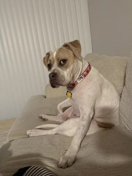 Mama Eden thumbnail 4