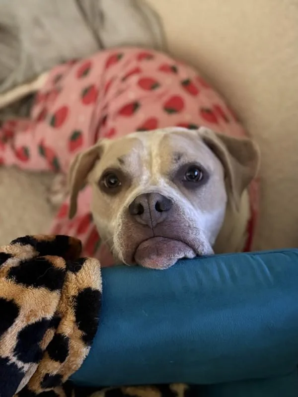 Mama Eden thumbnail 5