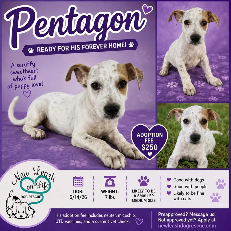 Pentagon