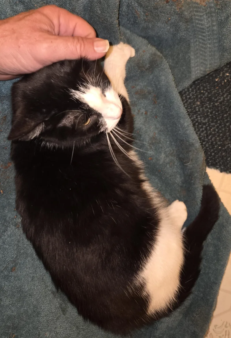 Night Sky thumbnail 2