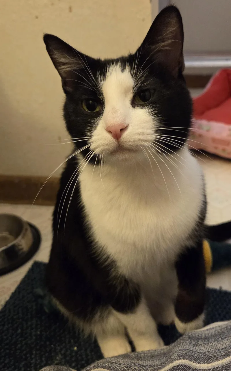 Night Sky thumbnail 3