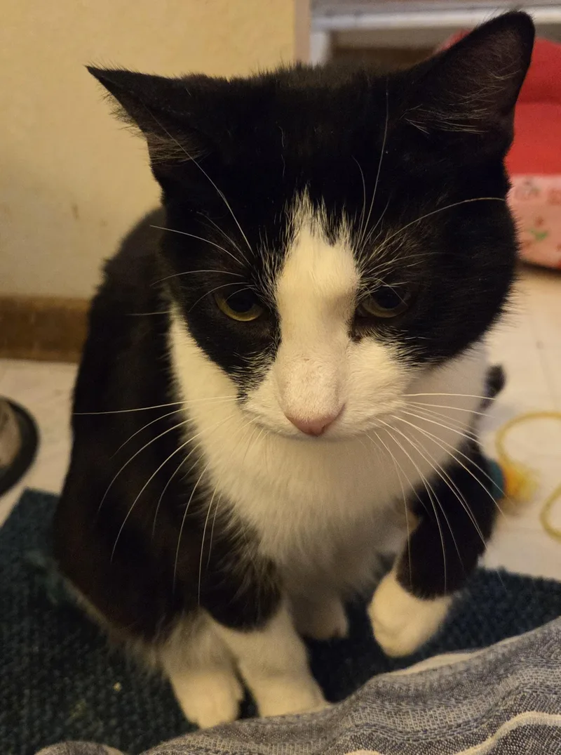 Night Sky thumbnail 4