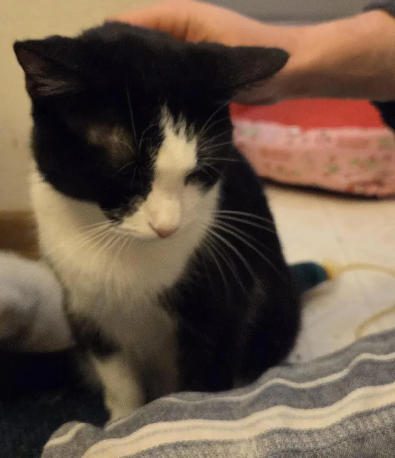 Night Sky thumbnail 5