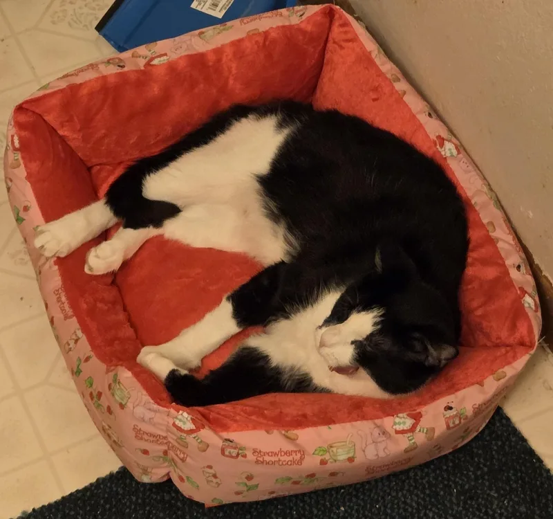 Night Sky thumbnail 6