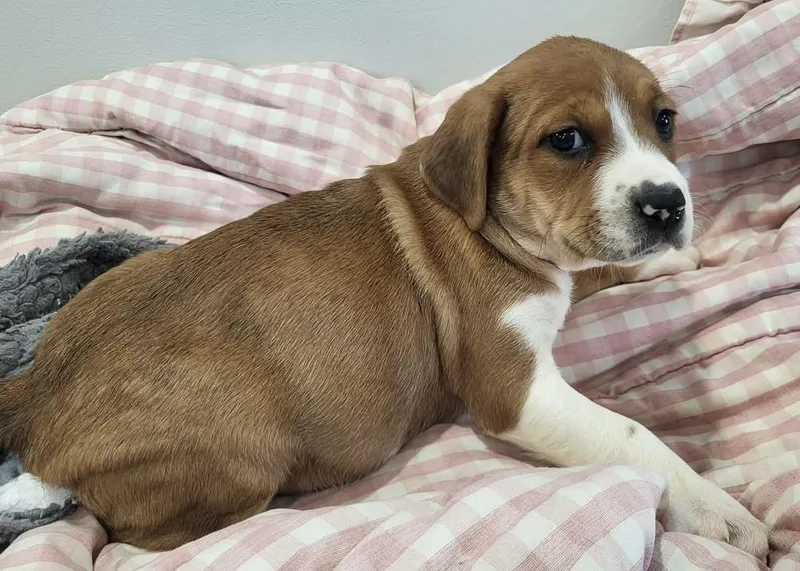 Cardigan thumbnail 4