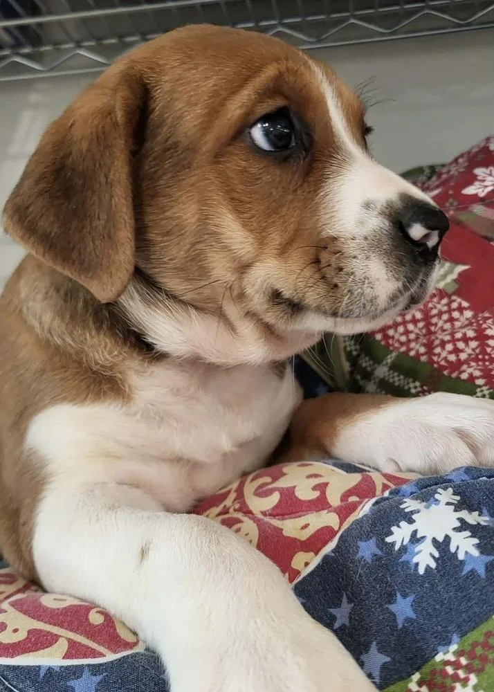 Cardigan thumbnail 5